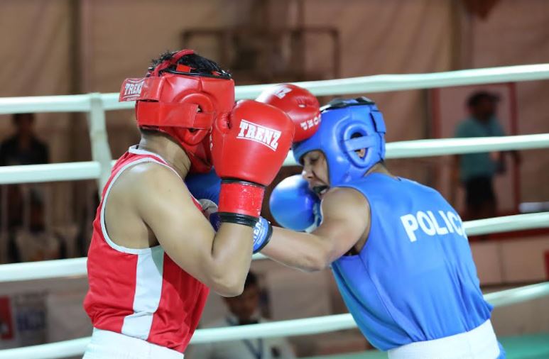 Boxers in action