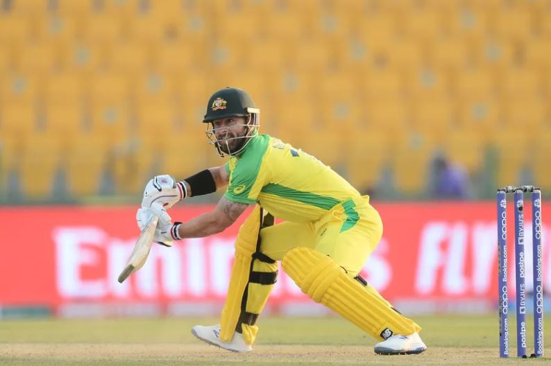 Matthew Wade Cricket