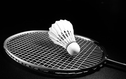 badminton icon