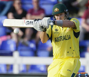 shane watson australian cricketer