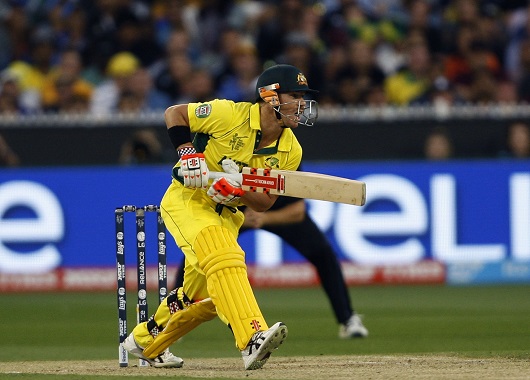 David Warner WC Final