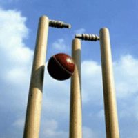 cricket wickets 301