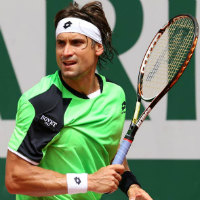 David Ferrer wins quarterfinals of French Open