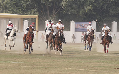 Bharat Polo Cup Horse Polo
