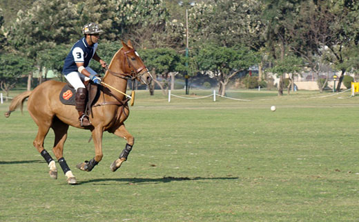 Polo Match