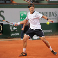 French Open: Ferrer beats Tsonga to reach maiden-Grand Slam Final