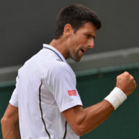 djoko300200semis