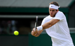 m 07 delpotro 34 aeltc t lovelock