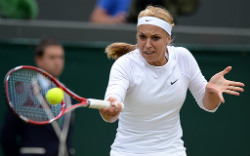 m 08 lisicki 135 aeltc m hangst