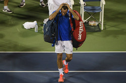 Robredo shocks Federer in US Open 4th round